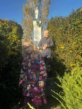 141fed55-5c69-4bbe-a186-dc0815c487ff