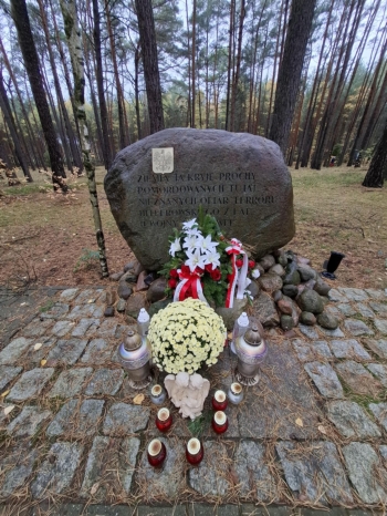 a8155c8c-a8d2-4ade-ab0c-567efa3d5a2a