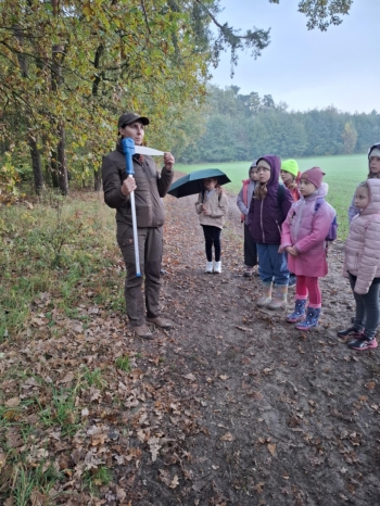 d52218c8-ce53-42ca-946e-286749d6bfe5