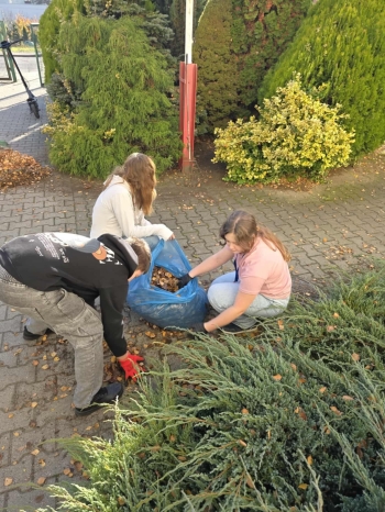 a95090ad-1d99-4591-9f23-d7101f49f71e