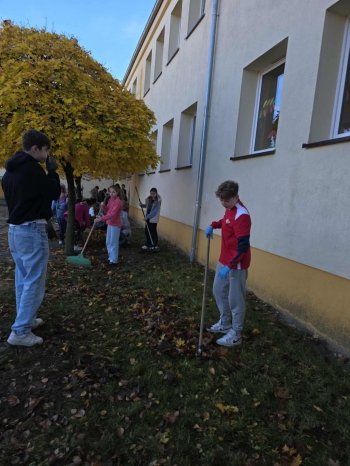 bb15a39e-7d82-4273-879f-b7078357132b