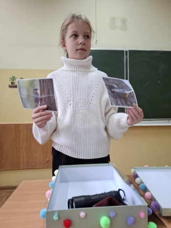 8ad6bfaa-b479-4f7a-a396-1e619cd51978