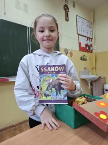 db33126b-8888-4ff7-8f11-44fbc267d855