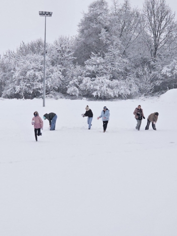 8a1b6c1f-384c-4faf-9b6b-db199d92d406