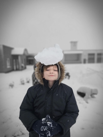 4ed1212c-0418-4ed0-a91c-68230d7bd5d8