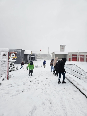 338a445e-60b4-486f-a78e-cccf81de0d39