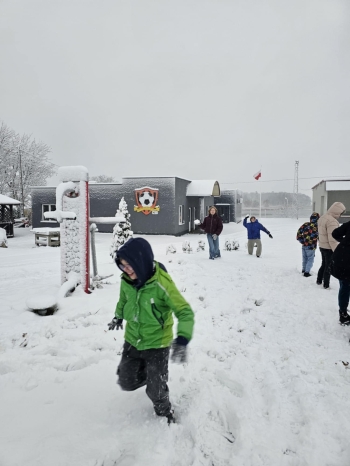 6636fd2e-053c-4b22-bca9-9ee8283358c4