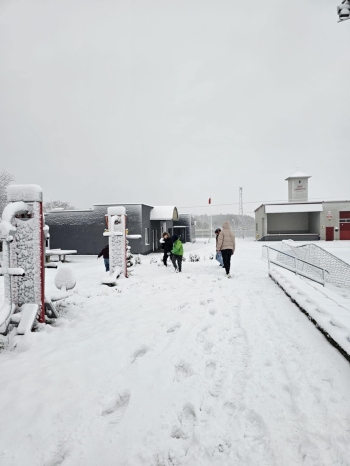 baa92a2e-ddfc-4dcd-93e9-17e1bffb5374