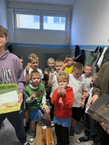 e3e0a8c7-bb91-4825-8c33-7316db419e3f