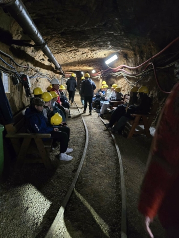 3b05170f-7161-4fad-94d0-19eedb479220