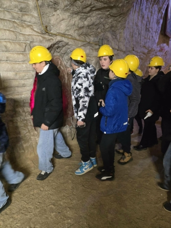 31e8474b-9931-4dc4-811d-265b6060cdce