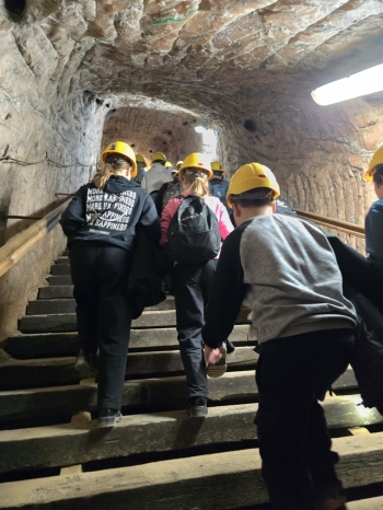 cb03077a-6972-492b-9960-6727b178a604