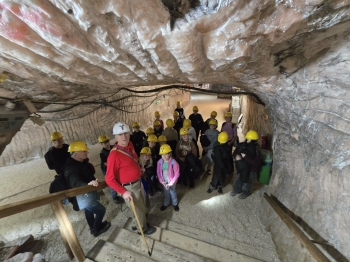 ec9a6bdf-a4e6-4917-bdf3-69bacb571f03