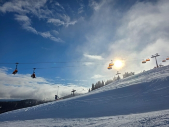 93e309da-5cab-48d8-876c-0b8a5926be7f