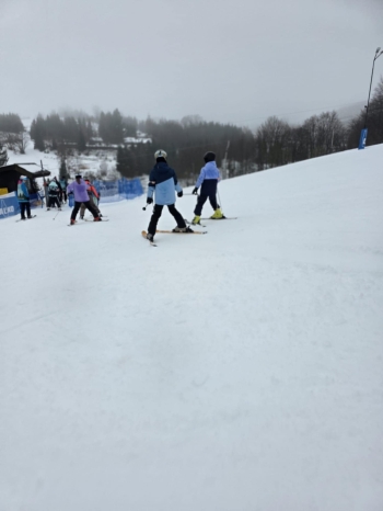 7292e636-bc0d-4423-88eb-b709e3f82d02