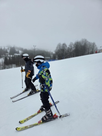 1260552e-6813-4e23-91e8-8d862fa71bd3