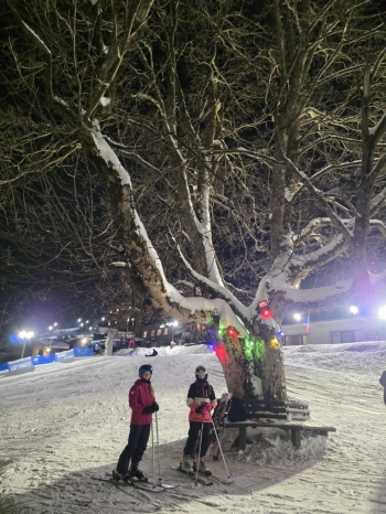 b3cd3e4c-ee9f-4709-9b2f-ea87d68a12ee