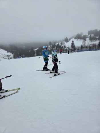 c3d345c6-590b-4443-b39f-2a482d57bece