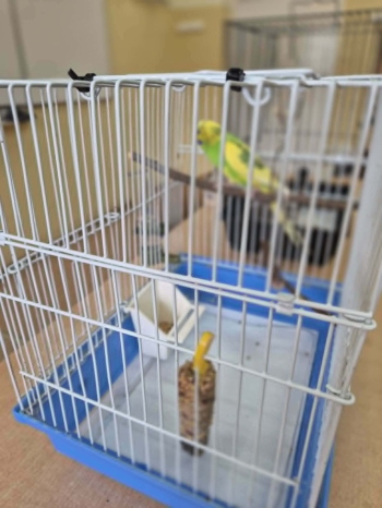 aa38d071-5562-4249-82c9-55247f53bb09.jpeg