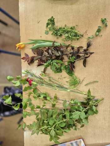 3c960577-20b7-4557-828a-7c92eef4d7db.jpeg