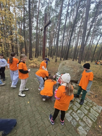 fdec05b7-afce-41ad-a941-06f52cfe3d3c.jpeg