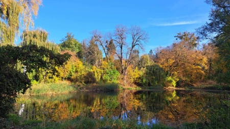 KONIURS FOTOGRAFICZNY