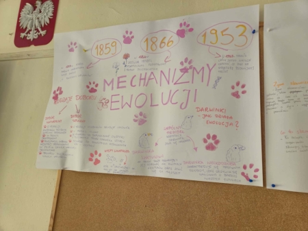 ÓSMOKLASIŚCI O...EWOLUCJI