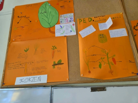 LEKCJA BIOLOGII W KL. V